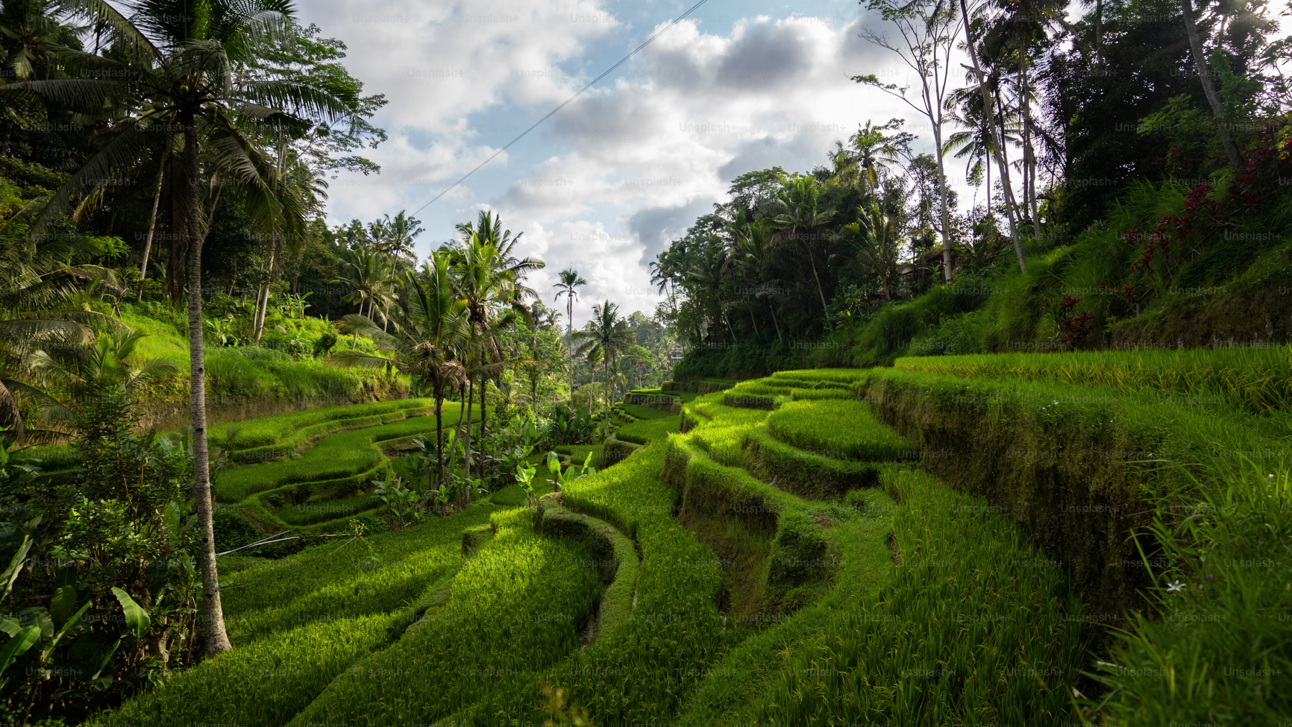 Discover the amazing place
